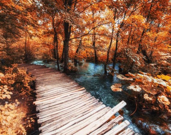 The famous Plitvice Lakes National Park, Croatia, Europe. Bright autumn scene. Instagram tonic effect.