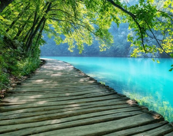 Plitvice lakes in Croatia. National Park in summer. Waterfalls and lakes among the forest. Footpath for hiking. Croatian travel image.