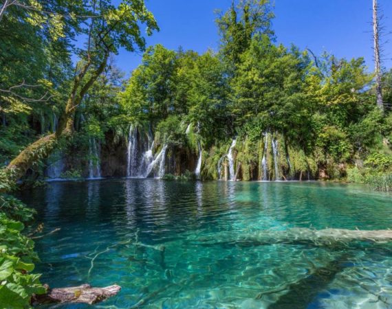 Plitvice Lakes National Park, Croatia - The national park was founded in 1949 and is situated in the mountainous karst area of central Croatia, at the border to Bosnia and Herzegovina. The national park is world-famous for its lakes. Currently, there are 16 lakes, the result of the confluence of several small rivers and subterranean karst rivers. The lakes are all interconnected and follow the water flow down the valley. They are separated by natural dams of travertine, deposited by the action of moss, algae, and bacteria. The National Park area is a UNESCO World Heritage Site.
