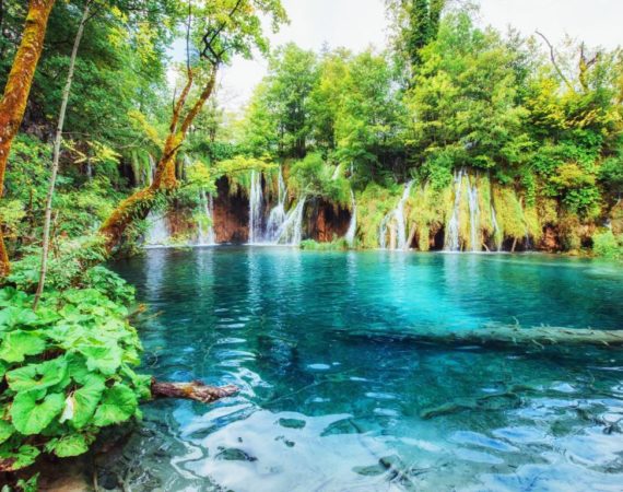 Waterfalls in national park falling into turquoise lake. Plitvice Croatia
