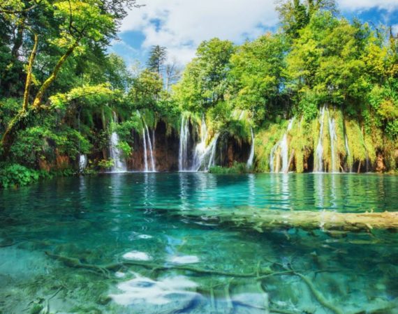 A photo of fishes swimming in a lake, taken in the national park Plitvice Croatia
