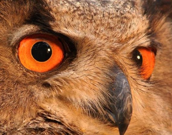 DIEHOLIDAYBUCHT-Krka08