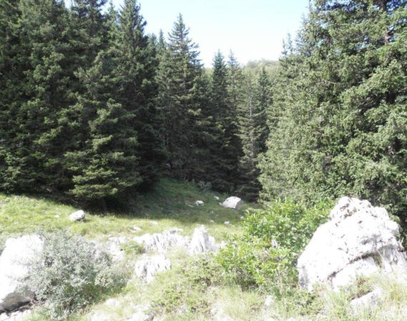 Paklenica_National_Park03