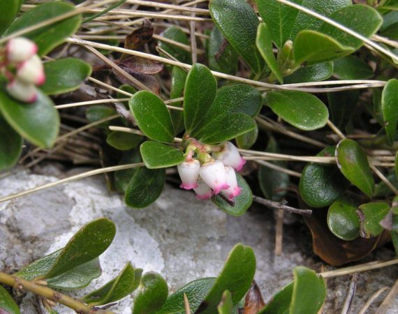 Paklenica_National_Park04