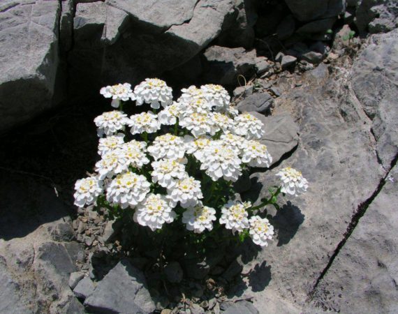 Paklenica_National_Park05