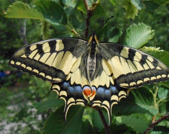 Paklenica_National_Park06