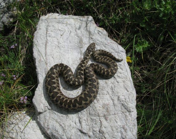 Paklenica_National_Park08