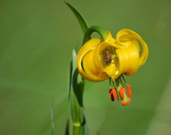 Paklenica_National_Park10