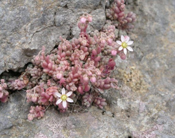 Paklenica_National_Park11