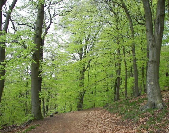 Paklenica_National_Park15