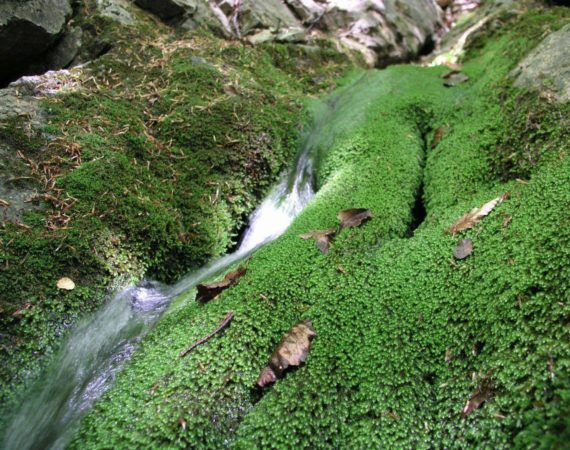 Paklenica_National_Park16