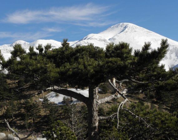 Paklenica_National_Park17