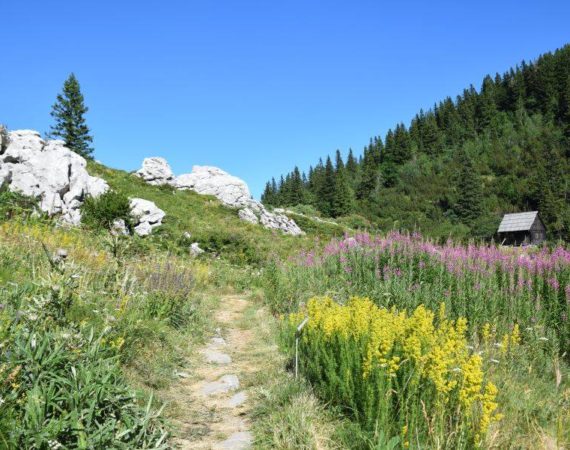 Sjeverni-Velebit-Nature-Park18