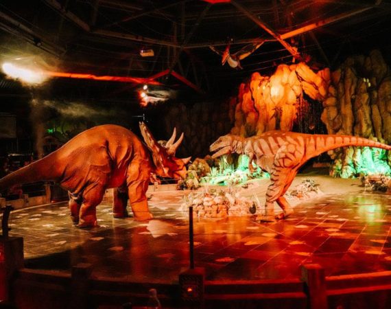 Dinopark-Funtana_Gallery12