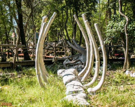 Dinopark-Funtana_Gallery16