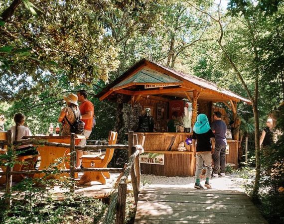 Dinopark-Funtana_Gallery19